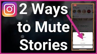2 Ways To Mute Someones Story On Instagram