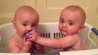 Twins Share A Pacifier  Cutest Moments  KYOOT