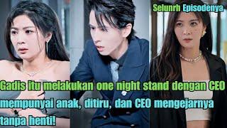 Gadis itu melakukan one night stand dengan CEO mempunyai anak ditiru dan CEO mengejarnya tanpa