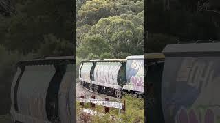 1281s near Ambleside #railway #australiantrains #trainspotting #railway #railroad