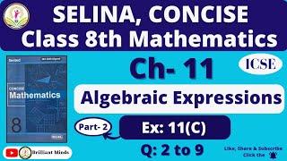 Class 8th ICSE  Selina Math  Ch- 11 Algebraic Expressions Ex 11 E Ques 1 to 8