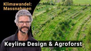 Keyline Design und Agroforst auf dem Hof Aebleten - Anpassung an den Klimawandel