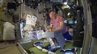 После выхода в космос - Американский контейнер с питанием 1  Космическая еда  распаковка