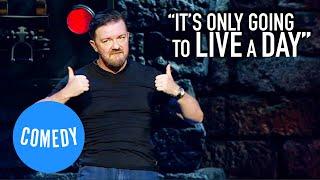 A Dog Is For Life  Ricky Gervais  Universal Comedy