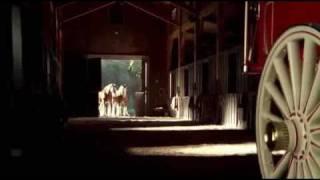 Beer Commercial Budweiser Clydesdale Dream Baby