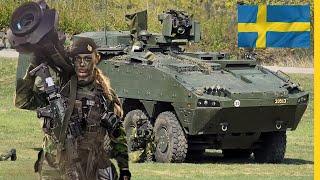 Review of All Swedish Armed Forces Equipment  Quantity of All Equipment