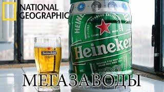 Пиво Heineken. Вкус Пива Который Знают Все - Мегазаводы  Документальный фильм