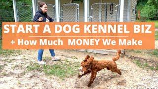 Start a Dog Kennel Business- HOW MUCH WE ARE MAKING & Ups and Downs...