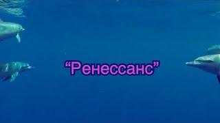 Иван Дорн и Роман Бестселлер - Ренессанс Karaoke Version