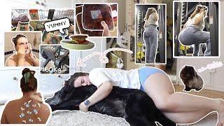 Grocery Shopping Heavy Leg Day Cold Shower vlog