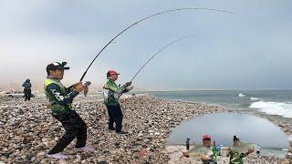 The Best Shore Fishing  Adventures  Fishing for Permit Fish  Fishing trip  Fishing is Life