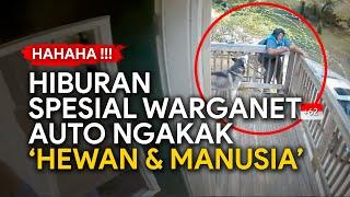 HAHAHA VIDEO LUCU  - Hiburan Spesial Warganet Auto Ketawa Ngakak  Funny Videos  Rekaman CCTV