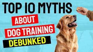 Top 10 Myths About Dog Training Debunked