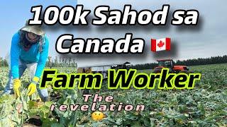 100k SAHOD SA CANADA AS FARM WORKER The Revelation.