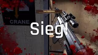 Ironsight DSR-1 Montage