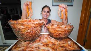 Catching LIMITS of WILD SHRIMP Catch Clean & Cook South Florida Shrimp Run