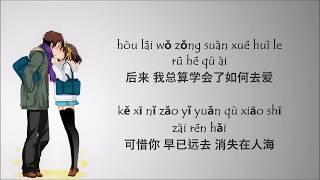 Hou Lai 后来 - Rene Liu 刘若英 - Lyric Pin Yin