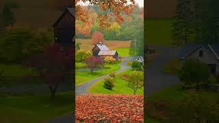 Sleepy Hollow Farm VT  Light Rain & Falling Autumn Leaves  #asmr #autumn #rain