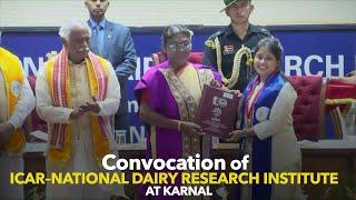 President Droupadi Murmu graces the convocation of ICAR–National Dairy Research Institute at Karnal