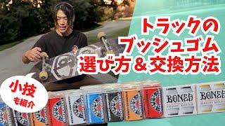 【ブッシュゴムの選び方】2種類の形、どっちが良い？反発や曲がり方が変わる！その他豆知識もレクチャー