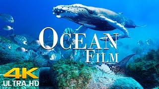 Scenic Ocean Film With Calming Music  Journey Through Ocean 4K Video UHD + Relaxing Scenic Music