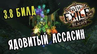 Убийца Круг Яда Venom Gyre  Мой стартовый билд Скверны  Path of exile 3.8 Blight 3.8