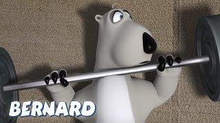 Bernard Bear  The Gym AND MORE  30 min Compilation  Cartoons for Children