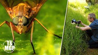 Macro Photography A Garden Safari Guide  Take and Make Great Photography with Gavin Hoey