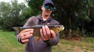 Using Crankbaits On The River To Catch Chub
