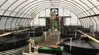 No fish tale Aquaculture entrepreneur raising 1 million pounds of trout per year