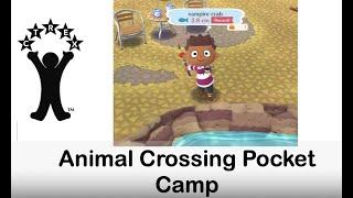 Animal Crossing  Pocket Camp