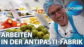 20.000 Eimer Frischkäse pro Jahr 2 Tage in der Antipasti-Fabrik  Galileo  ProSieben