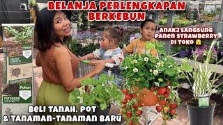 BELANJA PERLENGKAPAN BERKEBUN DAN NAMBAH TANAMAN BARU LAGI