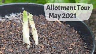 May Allotment Tour 2021