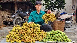 FULL VIDEO  Harvest melon Corn Cucumber Forest fruit Go to market