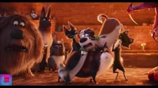 The Secret Life Of Pets  2017  The Ritual - Viper Death 45 DopeClips