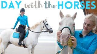 DAY in the Life with HORSES Beach Ride Mickey Walks + Jumping  AD  This Esme