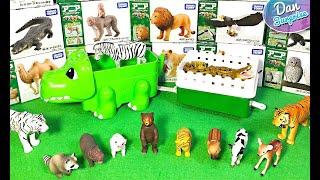 Takara Tomy Baby Wild Animals - Lion Tiger Bear Cow Red Panda Deer Racoon Eagle Crocodile