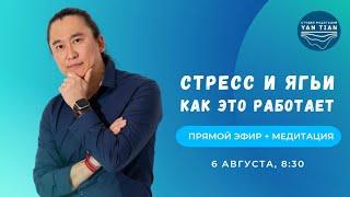 Стресс и ягьи. Как это работает  Прямой эфир + медитация  Ян Тиан