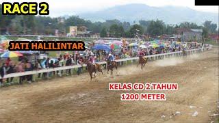 RACE 2  KELAS CD 3 TAHUN - PACU KUDA BUKITTINGGI AGAM PIALA GUBERNUR 21 OKTOBER 2023