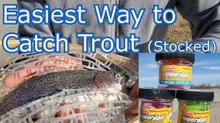 Fool Proof Way to Catch Trout Beginner Fishing- How to- Tips and Tricks