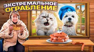 ЭКСТРЕМАЛЬНОЕ ОГРАБЛЕНИЕ БАБЫ ЛЮБЫ  КОТ КЕВИН И БИЛЛИ ТАЙНО ПРОНИКЛИ В ДОМ СОСЕДЕЙ..