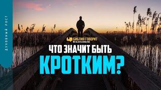 Что значит быть кротким?  Библия говорит  1402