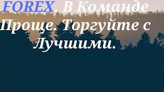 FOREX. В команде Проще. Практика есть Практика.Торговые Группы.