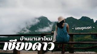 Chiang Dao l บ้านนาเลาใหม่ นอนดูวิวดอยหลวงเชียงดาว ️ จ.เชียงใหม่ l ไม่มีรถส่วนตัว