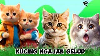 KUCING MEONG MEONG‼️KUCING NGAJAK GELUD‼️KUCING LUCU