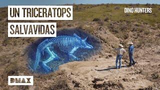 Un tesoro de miles de años desenterrando el esqueleto de un triceratops   Dino hunters