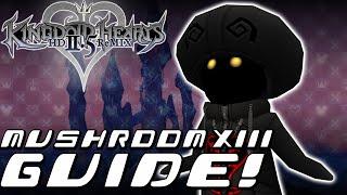 Kingdom Hearts HD 2.5 ReMIX - COMPLETE GUIDE Mushroom XIII KH2FM