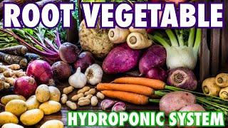 A Hydroponic System for Root Vegetables