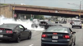 EPIC Burnout Shelby GT500 Super Snake  Diesel Truck Pulled Over  Sick Burnout Mustang Cobra 